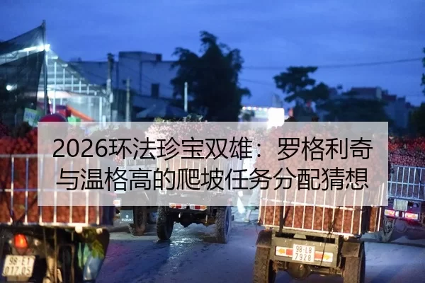 2026环法珍宝双雄：罗格利奇与温格高的爬坡任务分配猜想