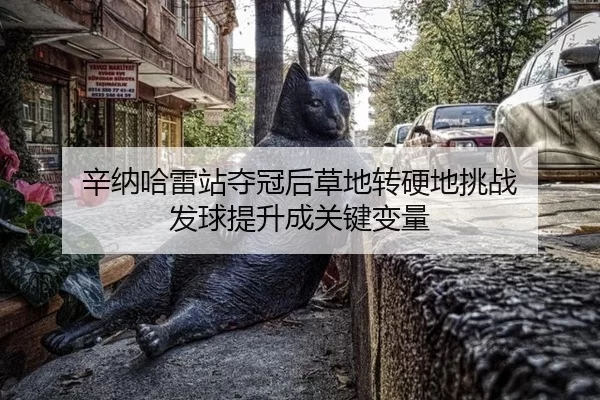 辛纳哈雷站夺冠后草地转硬地挑战 发球提升成关键变量
